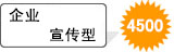 ̄(w)˜4500Ԫ
